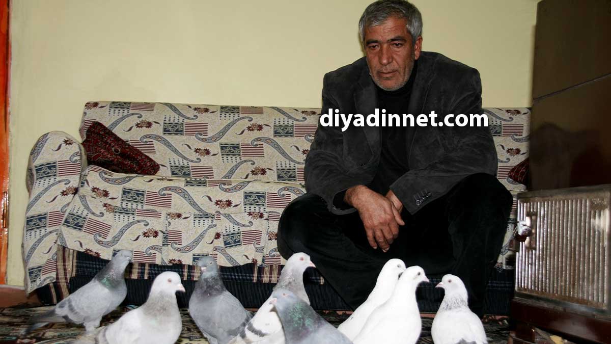 Ağrı Baloluk Köyünde Ahmet Akkılıç'ın 300 Güvercini Soğukta Telef Oldu, Kalan 8'i Eve Alındı