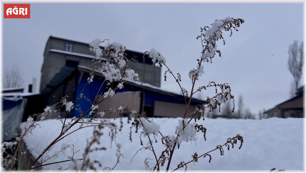 Ağrı, beyaz örtüsüyle göz kamaştırıyor