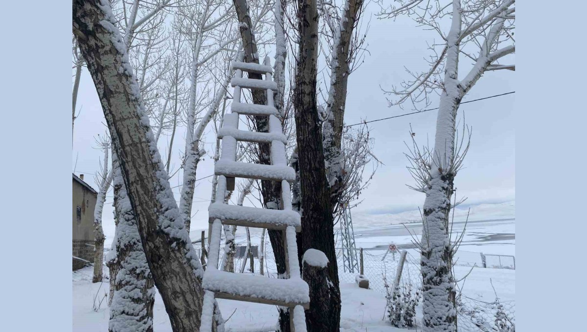 Ağrı beyaza büründü