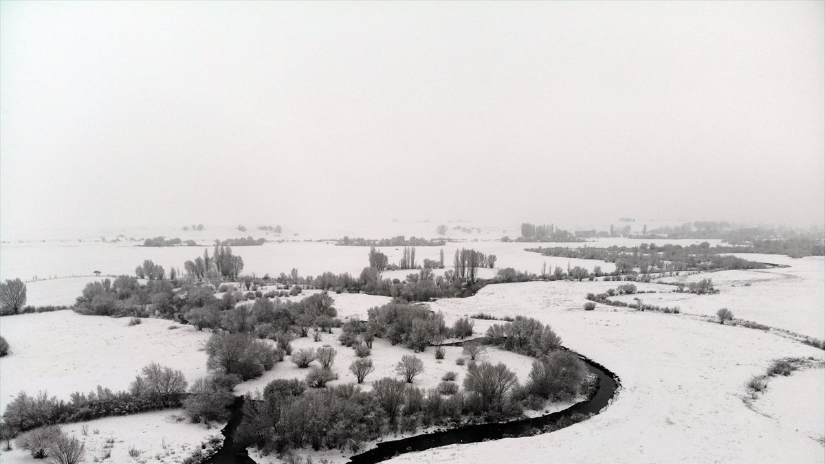 Ağrı beyaza büründü