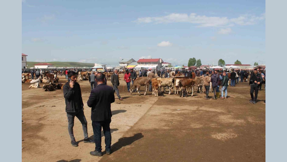 Ağrı Canlı Hayvan Borsası 10 Eylül'de Yeniden Açılıyor