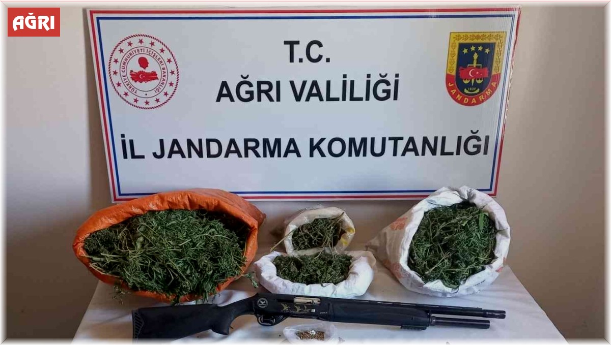 Ağrı'da 15 kilo esrar ele geçirildi