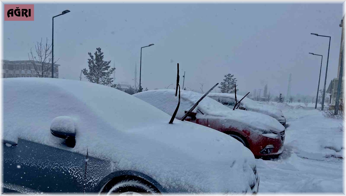 Ağrı'da 191 köy yolu kar nedeniyle ulaşıma kapandı
