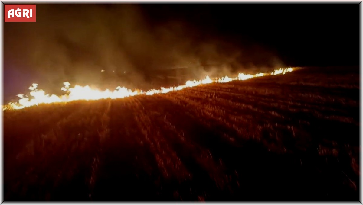 Ağrı'da 3 bin dönümlük tarla küle döndü