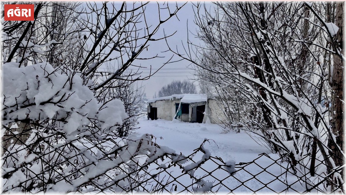 Ağrı'da 321 köy yolu kar nedeniyle ulaşıma kapandı
