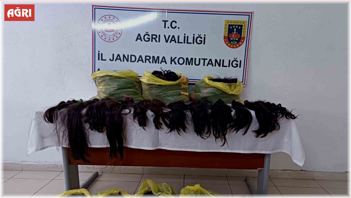 Ağrı'da 397 adet insan saçı ele geçirildi