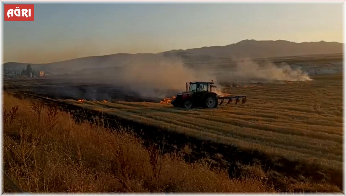 Ağrı'da 5 dönümlük tarla küle döndü