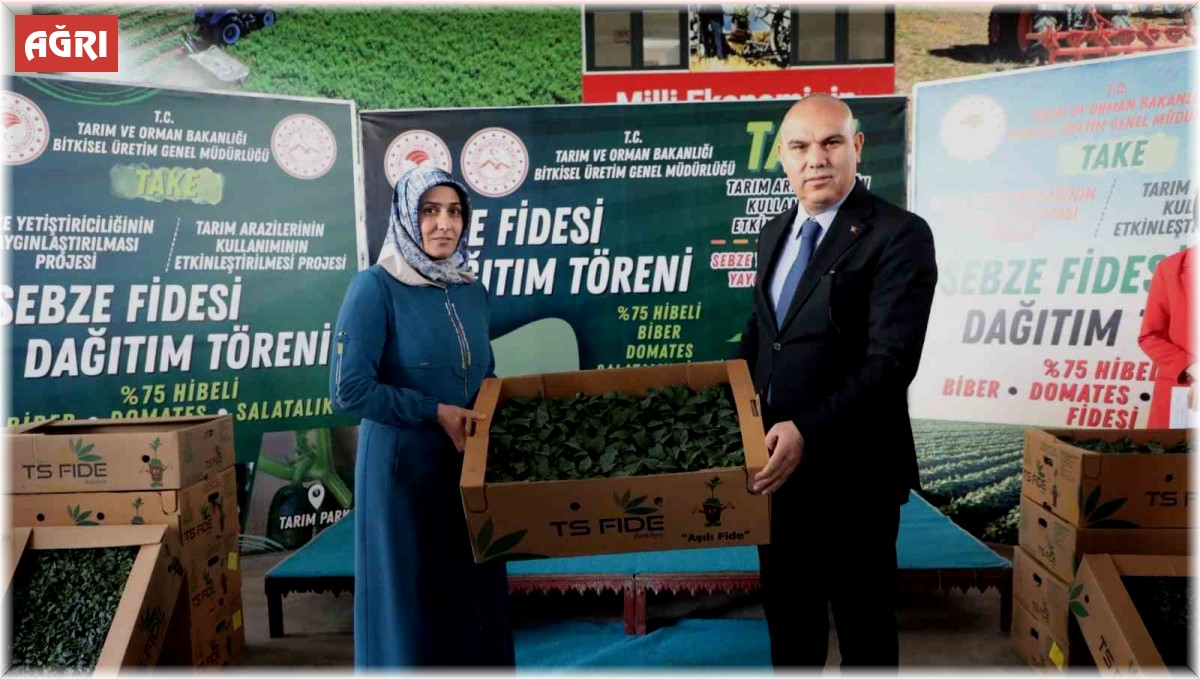 Ağrı'da 500 işletmeye 250 sebze fidesi dağıtıldı
