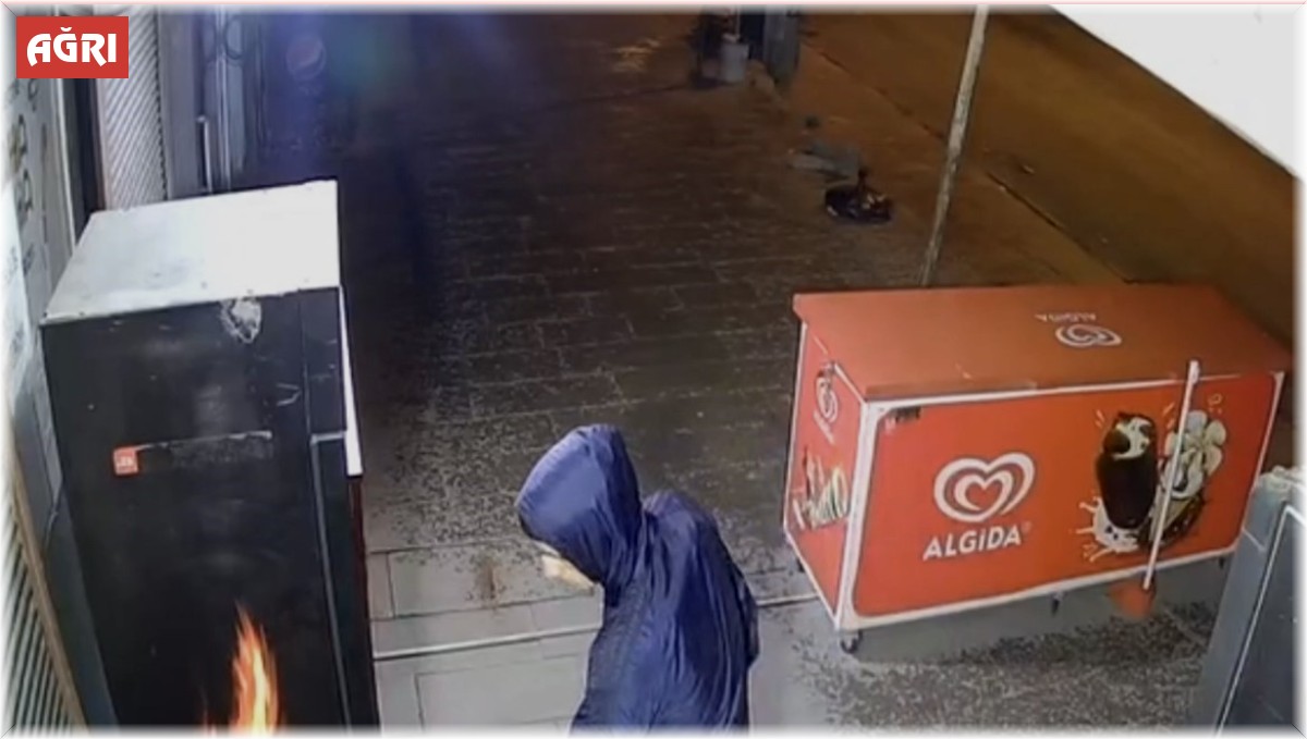 Ağrı'da 6 ayrı hırsızlık güvenlik kameralarına yansıdı