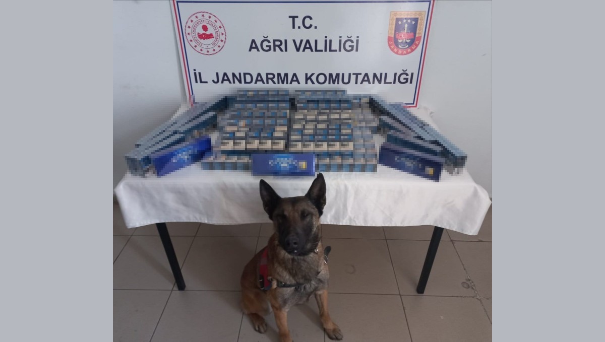 Ağrı'da 6 bin 548 paket kaçak sigara ele geçirildi
