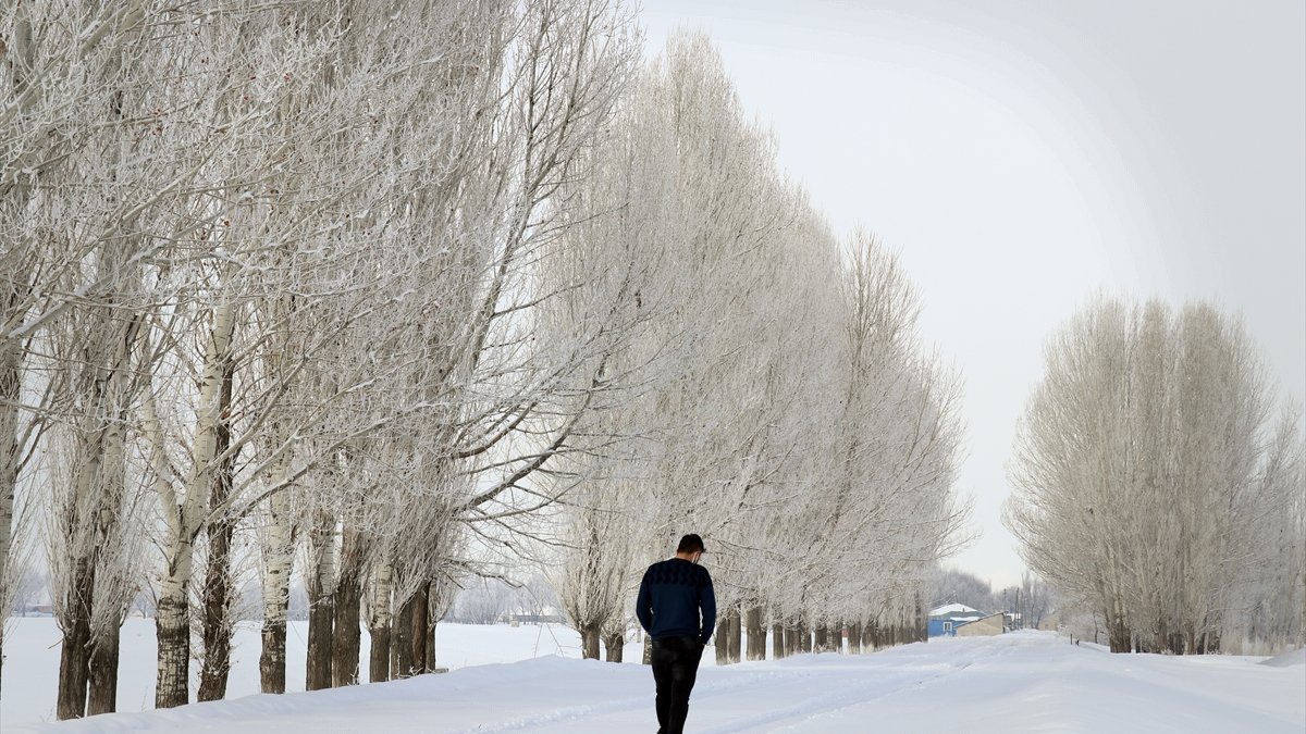 Ağrı'da ağaçlarda oluşan kırağı güzel görüntüler oluşturdu