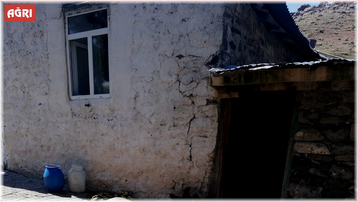 Ağrı'da ahırda çıkan yangında 3 inek telef oldu