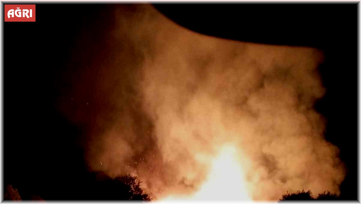 Ağrı'da alevler geceyi aydınlattı