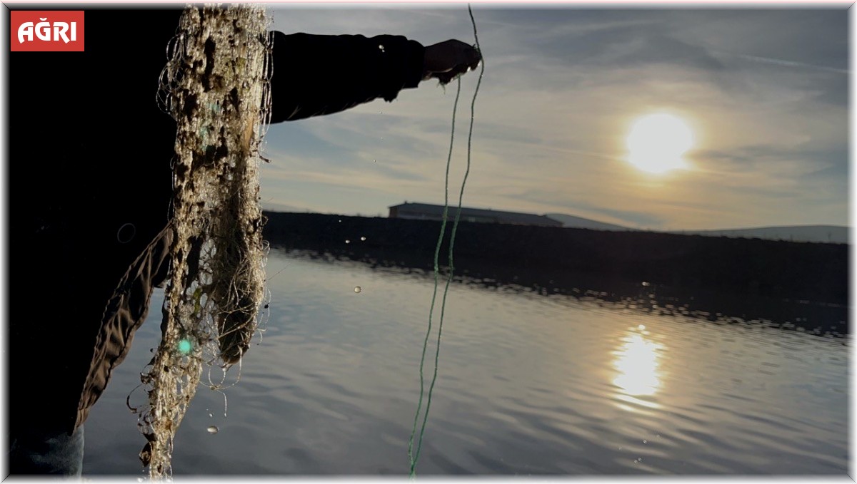 Ağrı'da Aralık ayında bahar havası