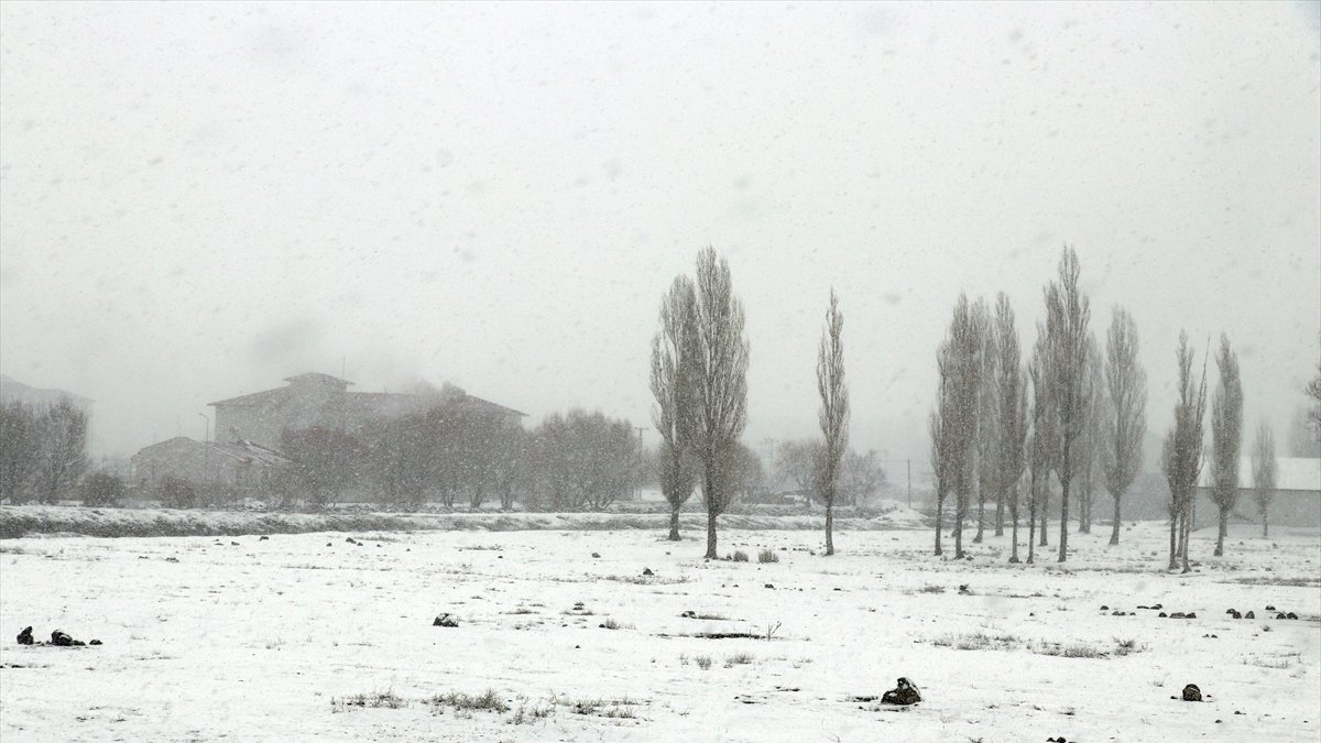 Ağrı' da aralıklarla kar yağışı etkili oluyor