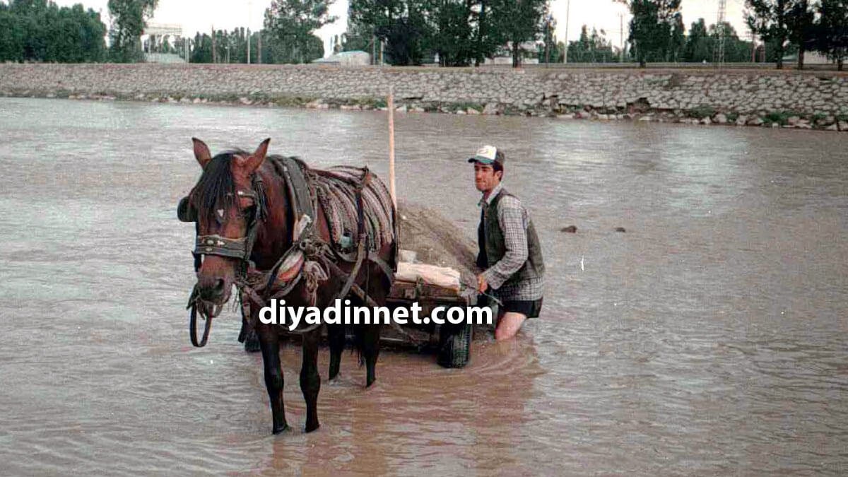 Ağrı'da At Arabacıları Murat Nehri'nden Kum Çıkararak Geçim Sağlıyor
