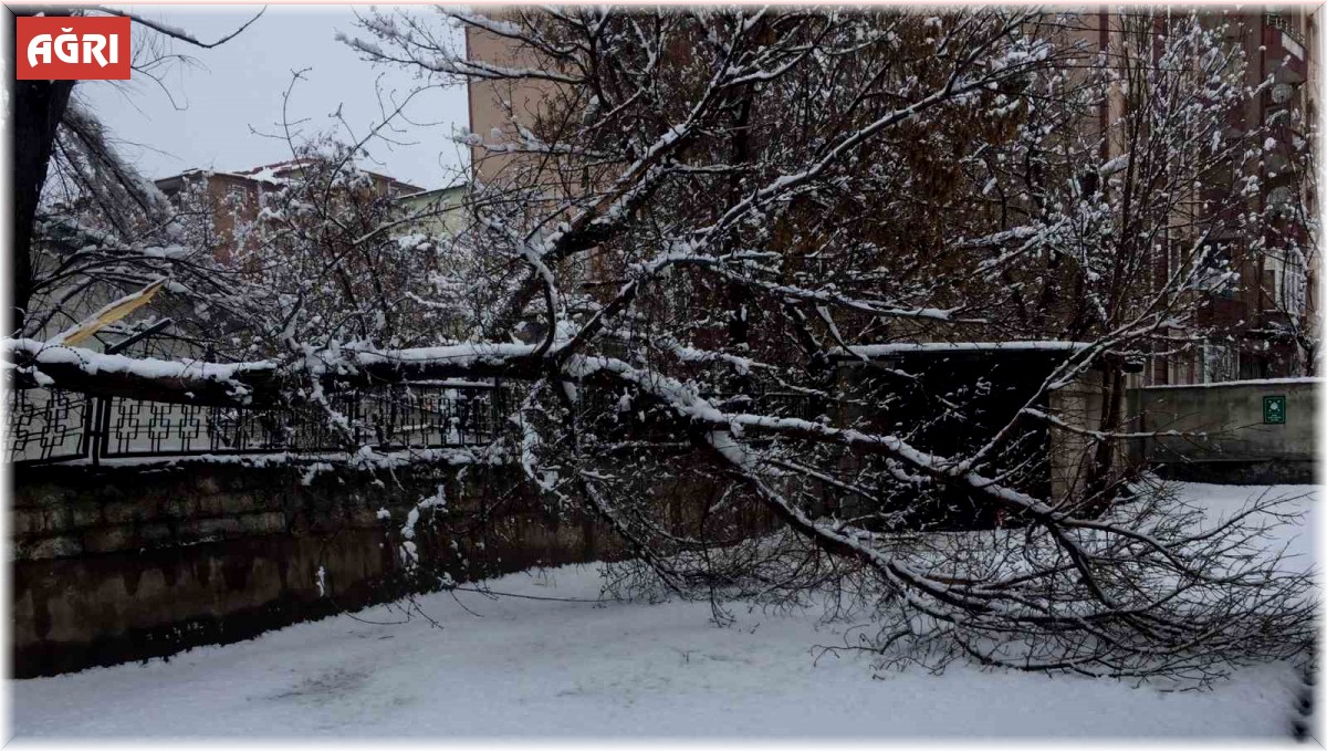 Ağrı'da bahar havası yerini kara bıraktı