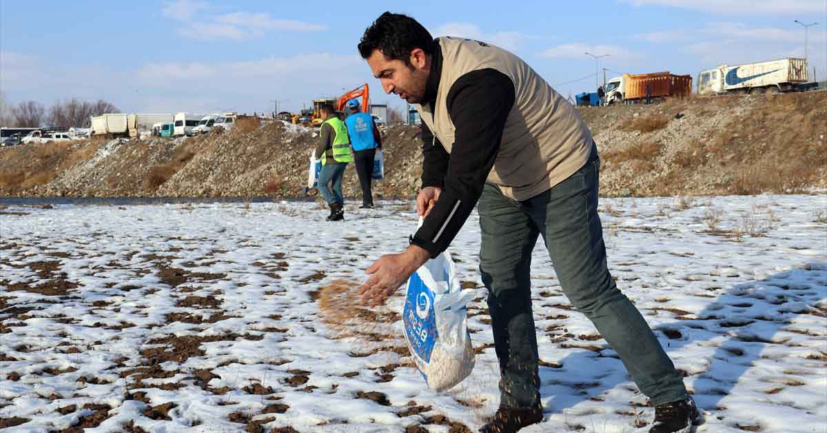 Ağrı'da Beşir Derneği Gönüllüleri Eksi 30 Derecede Yaban Hayvanları İçin Doğaya Yem Bırakıyor