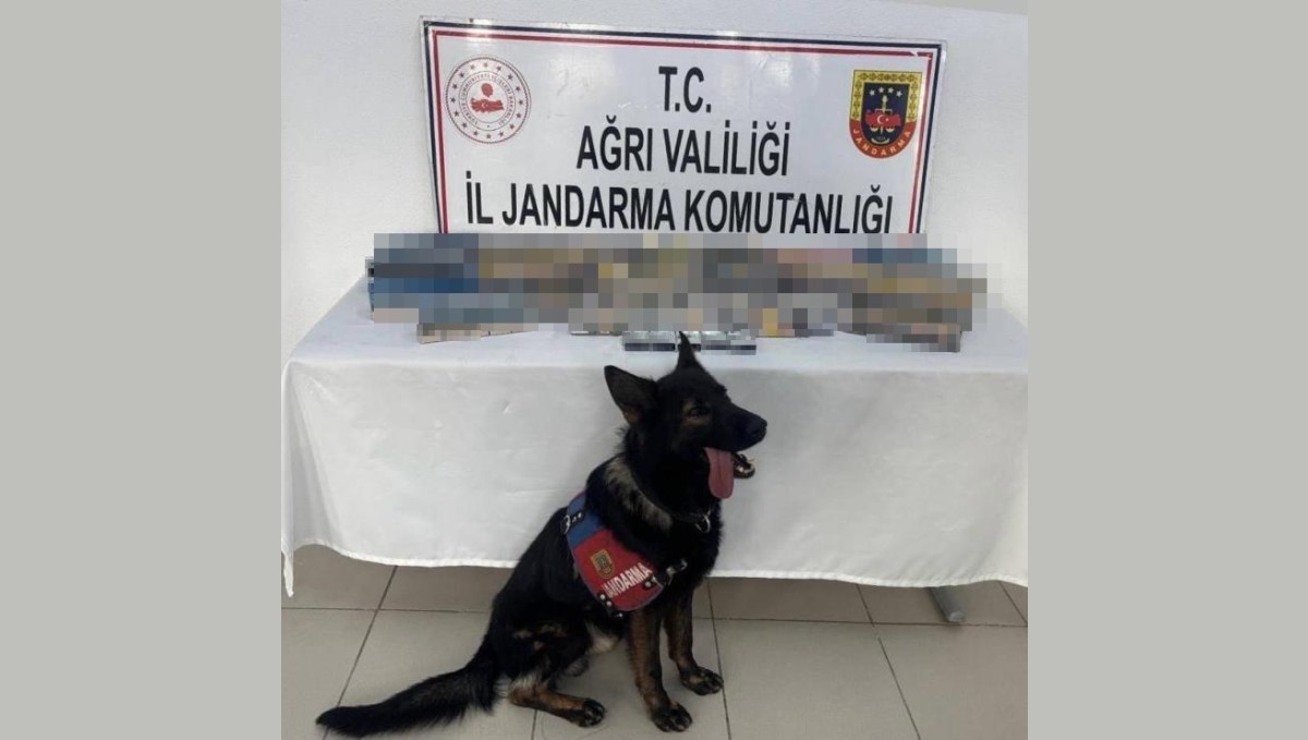 Ağrı'da bin 227 paket gümrük kaçağı sigara ele geçirildi