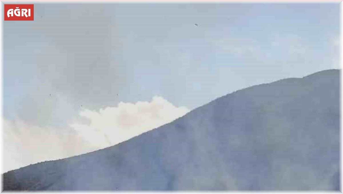 Ağrı'da bin 500 balya saman yandı