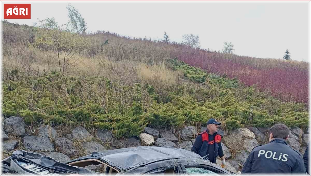 Ağrı'da bir otomobil şarampole uçtu