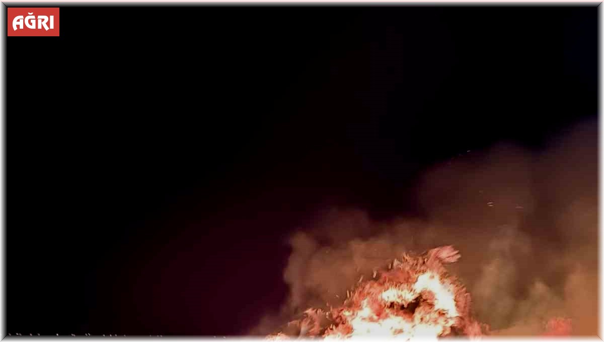 Ağrı'da bir tarla küle döndü