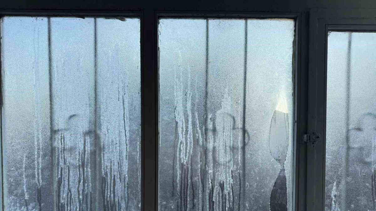 Ağrı'da buz sarkıtları