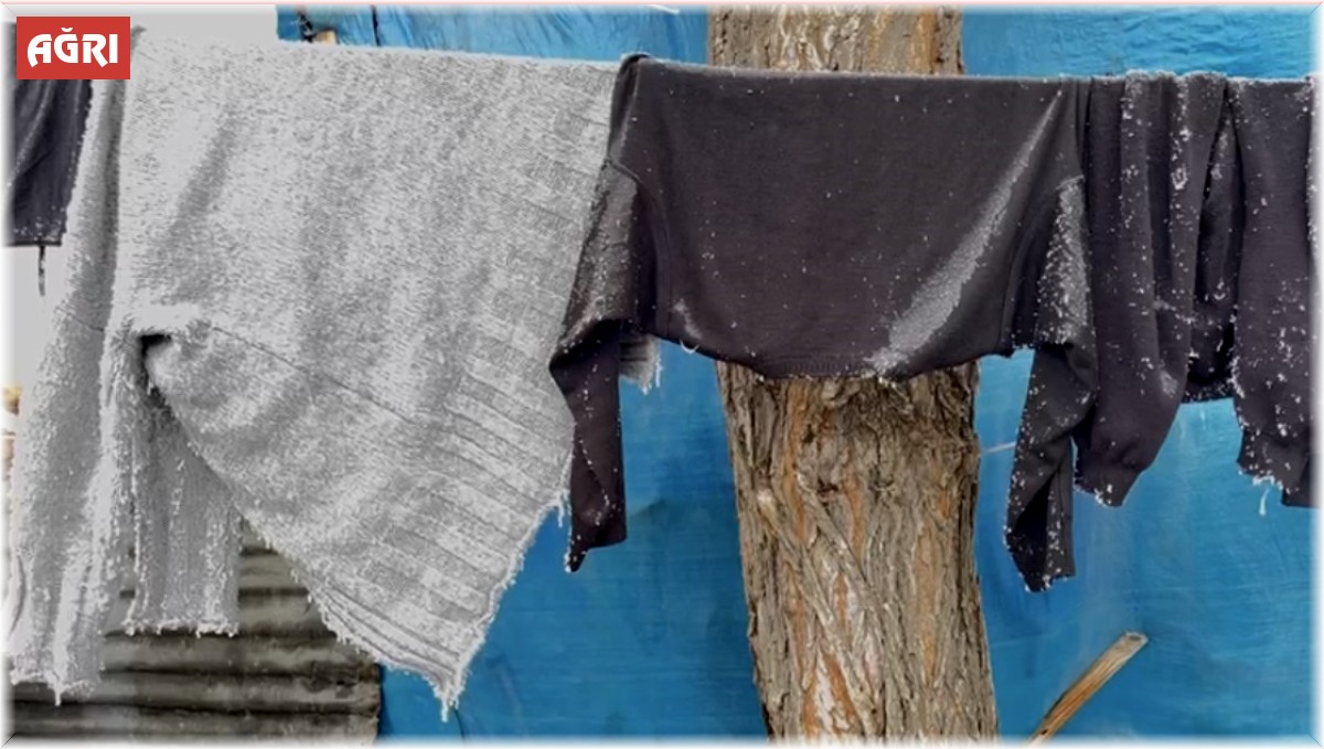 Ağrı'da çamaşırlar dondu