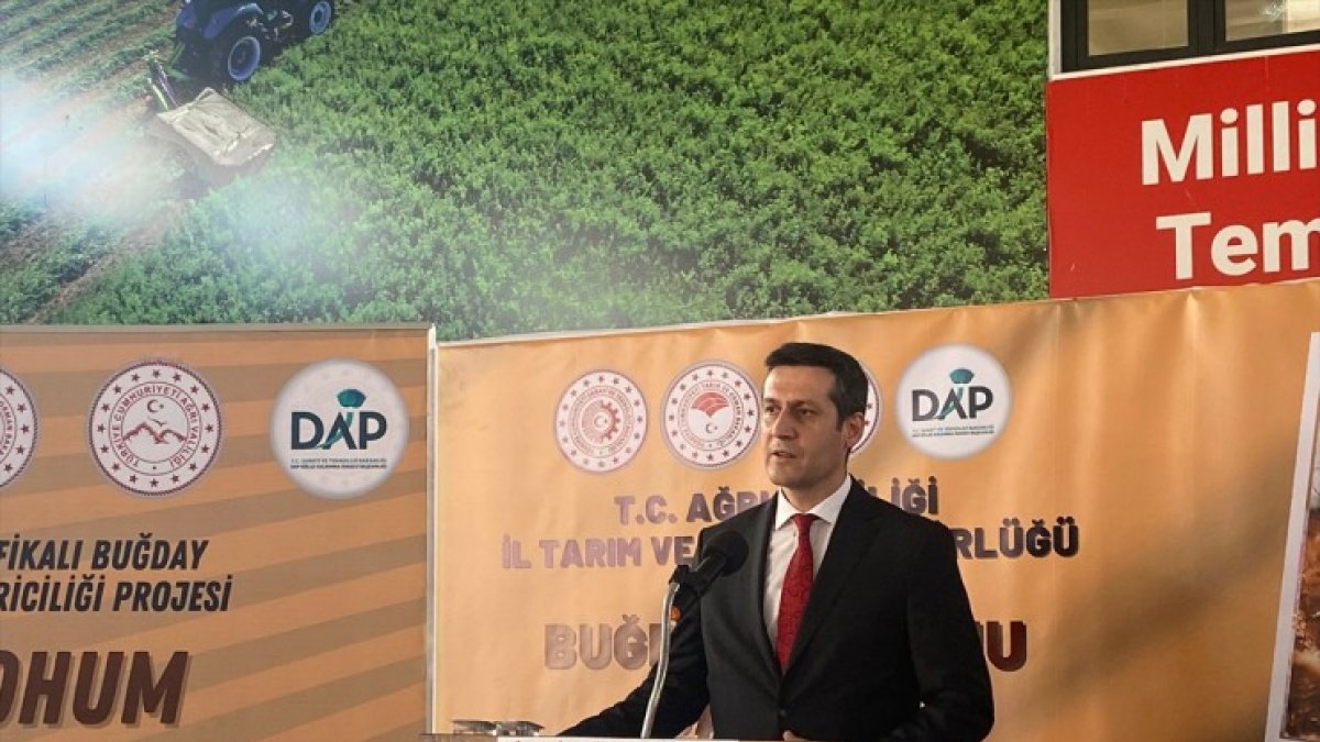 Ağrı'da çiftçilere 200 ton sertifikalı buğday tohumu dağıtıldı