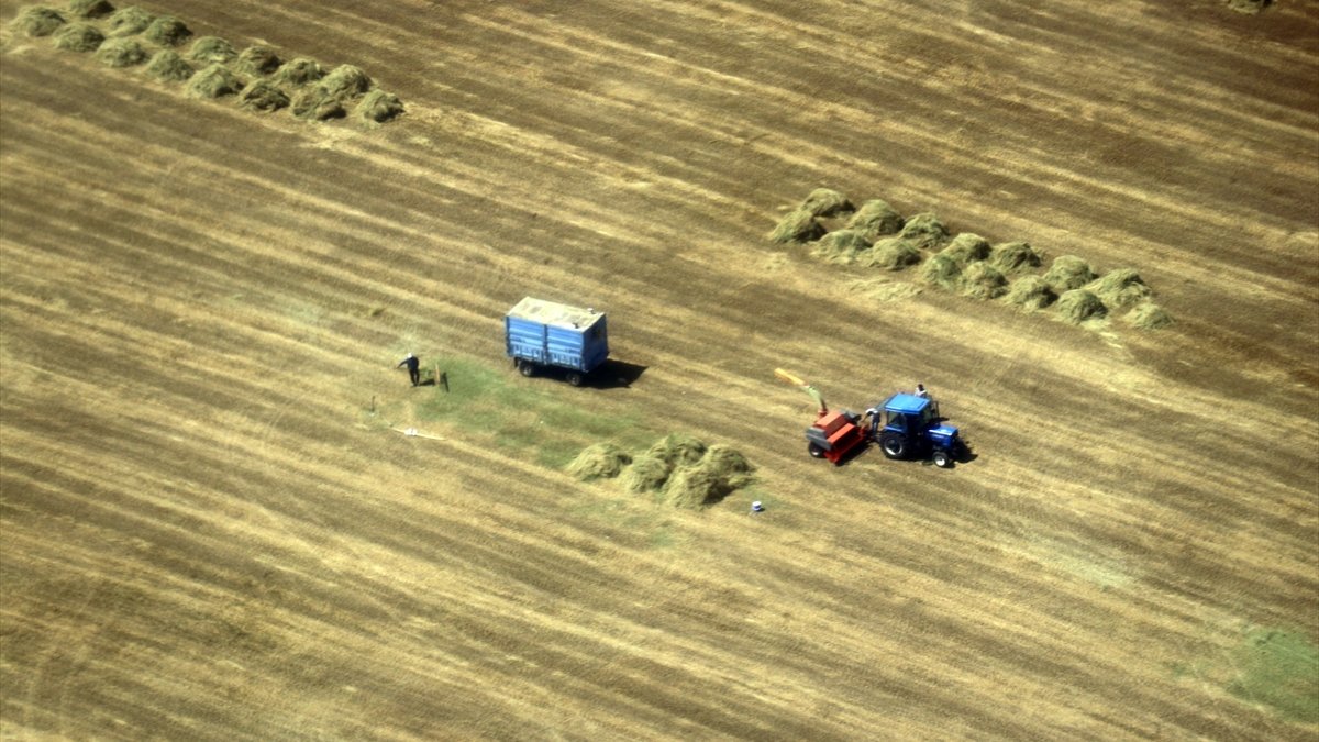 Ağrı'da çiftçilerin tarlalarda zorlu mesaisi