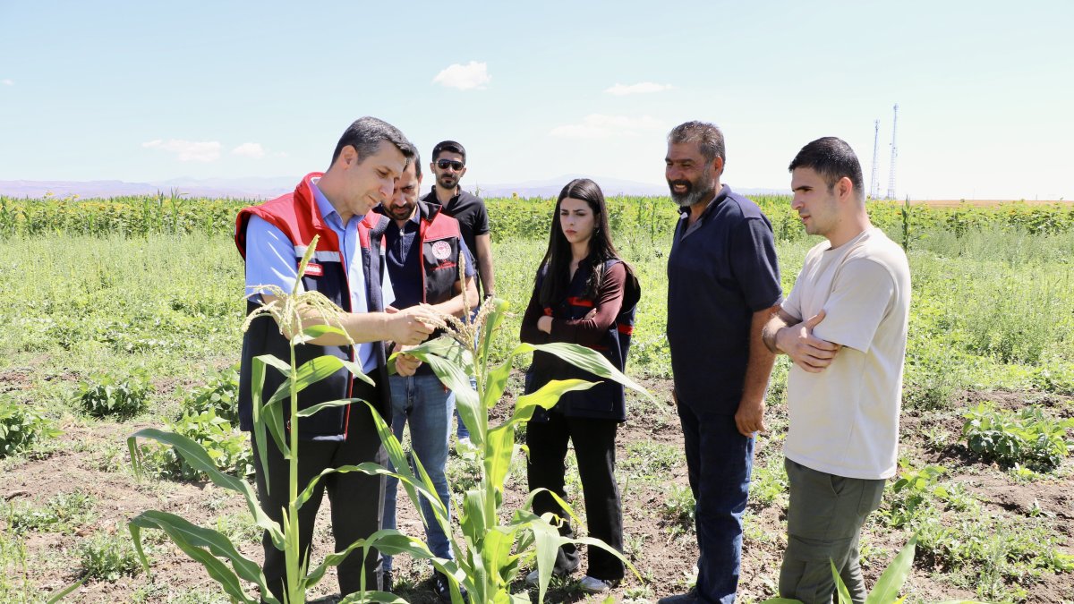 Ağrı'da çiftçinin bostanı örnek oldu: Sebze, meyve ve tahıl bir arada
