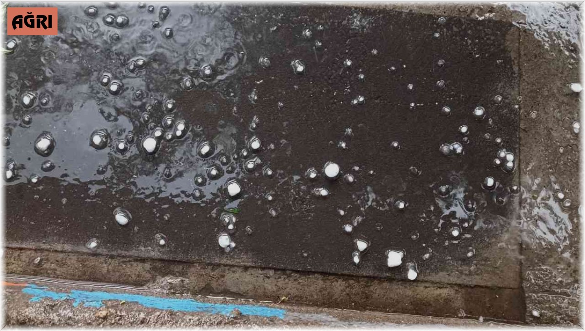 Ağrı'da çiftçiyi korkutan dolu