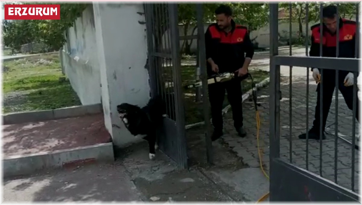 Ağrı'da demir kapıya sıkışan köpeği itfaiye kurtardı
