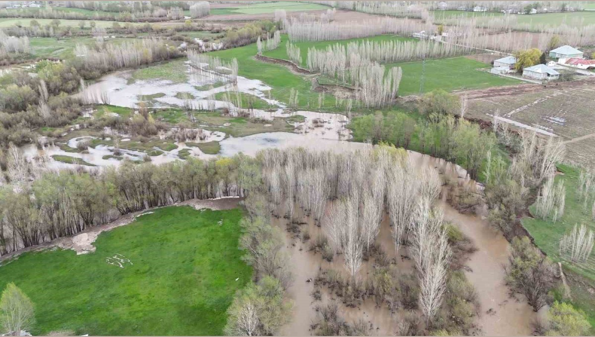 Ağrı'da dere taştı, tarım arazileri su altında kaldı