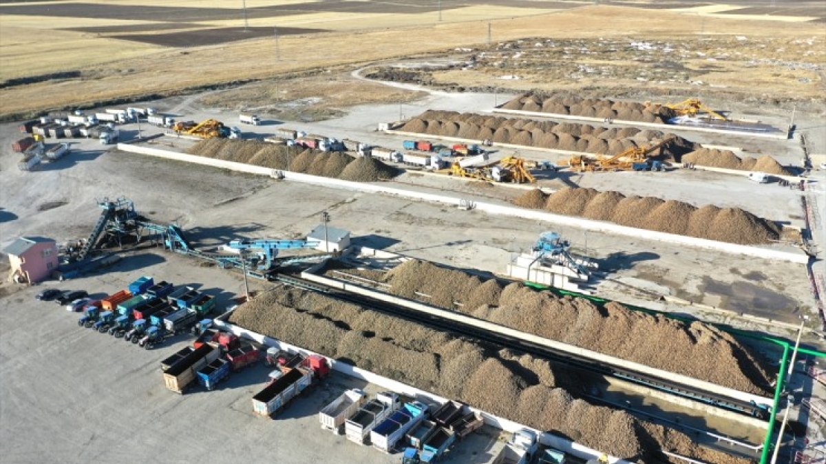 Ağrı'da devlet desteğiyle ekilen tarım ürünlerinde çeşitlilik artıyor