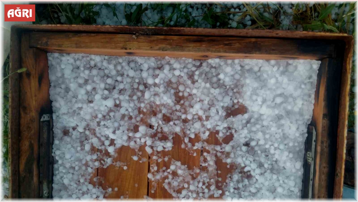 Ağrı'da dolu yağışı ekinlere ve arıcılığa zarar verdi