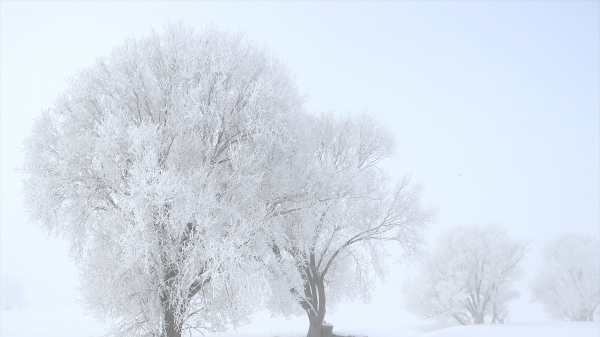 Ağrı'da dondurucu soğuk hava etkili oluyor