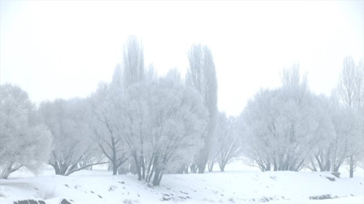 Ağrı'da dondurucu soğuklar etkili oldu