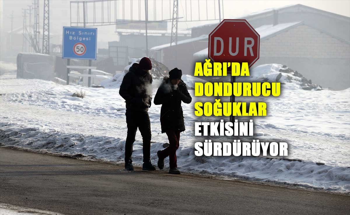 Ağrı'da dondurucu soğuklar etkisini sürdürüyor