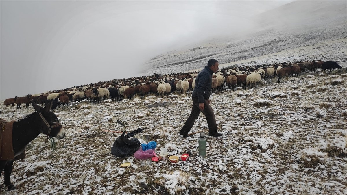 Ağrı'da etkili olan kar ve siste çobanların zorlu mesaisi sürüyor