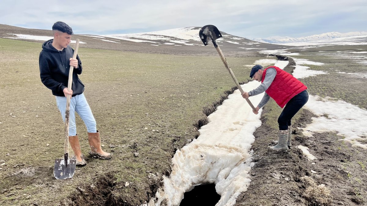 Ağrı'da etkili olan yağışlar çiftçiye umut oldu