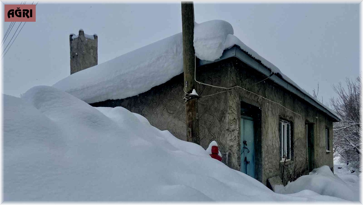 Ağrı'da evler kara gömüldü
