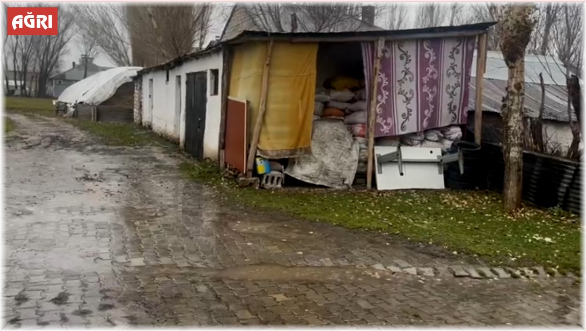 Ağrı'da fırtına hayatı durdurdu