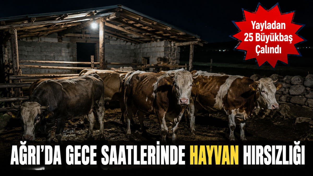 Ağrı'da Gece Saatlerinde Hayvan Hırsızlığı: Yayladan 23 Büyükbaş Çalındı!