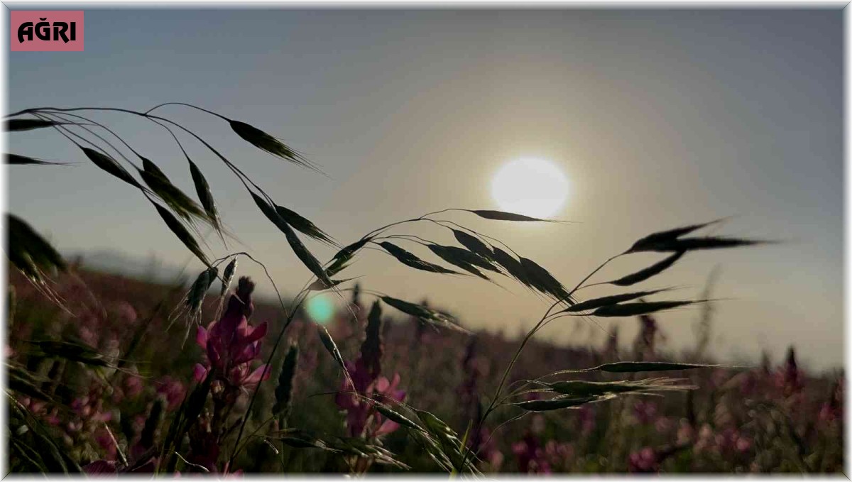 Ağrı'da göz kamaştıran gün batımı