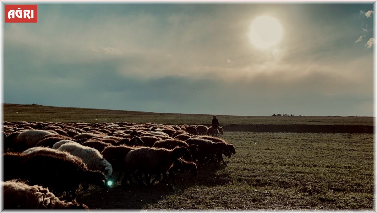 Ağrı'da gün batımı göz kamaştırdı