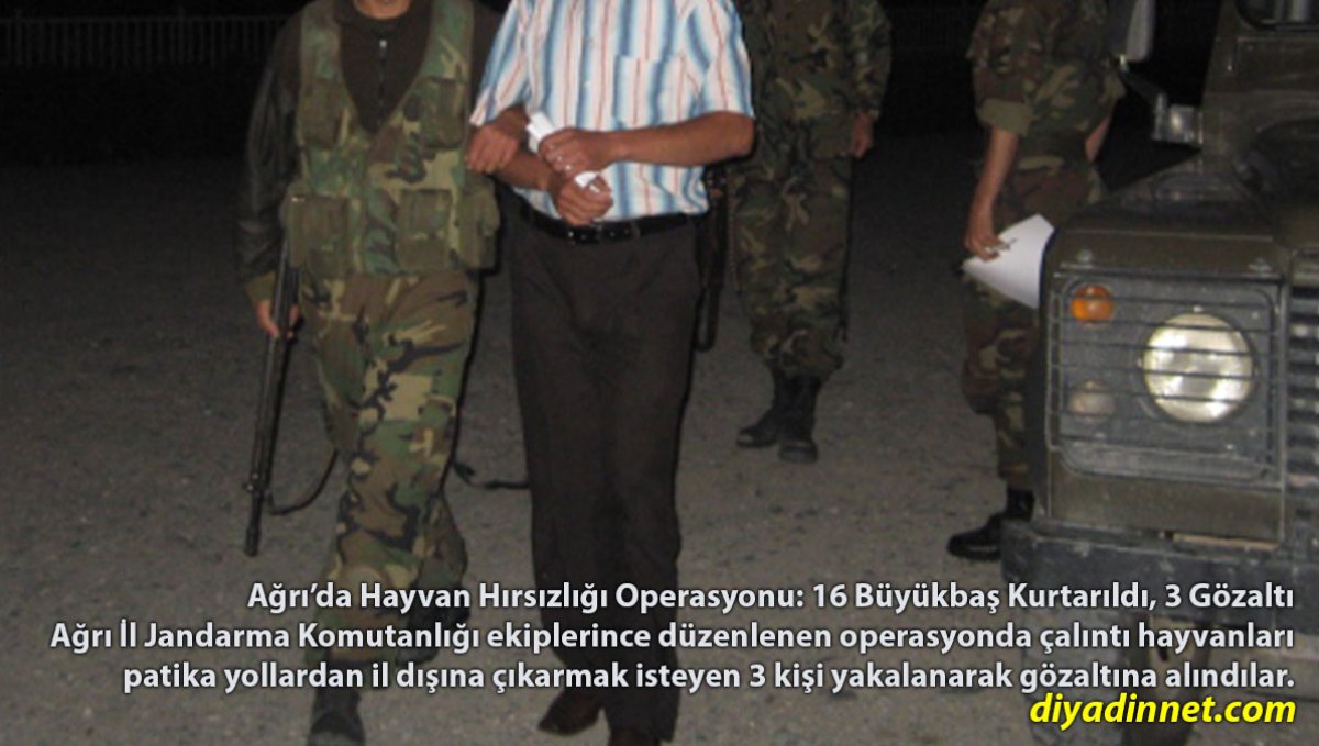 Ağrı'da Hayvan Hırsızlığı Operasyonu: 16 Büyükbaş Kurtarıldı, 3 Gözaltı
