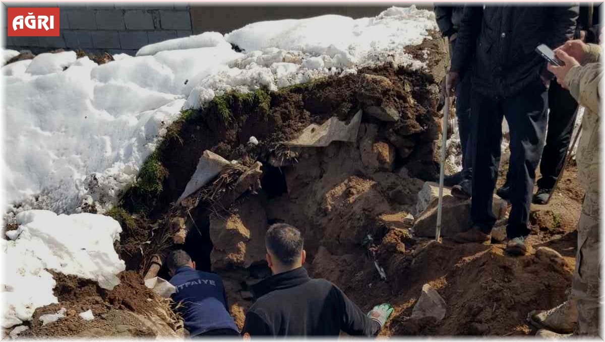 Ağrı'da hayvanlar çöken çatının altında kaldı