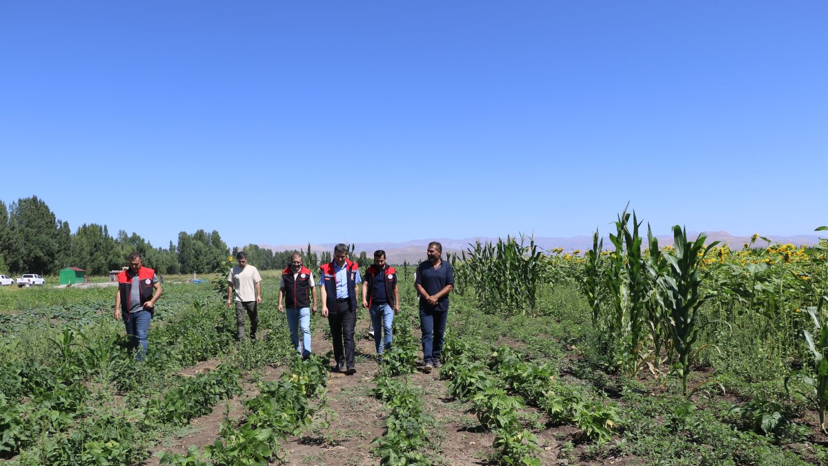 Ağrı'da hibeli sebze fidesi desteği denetimleri sürüyor