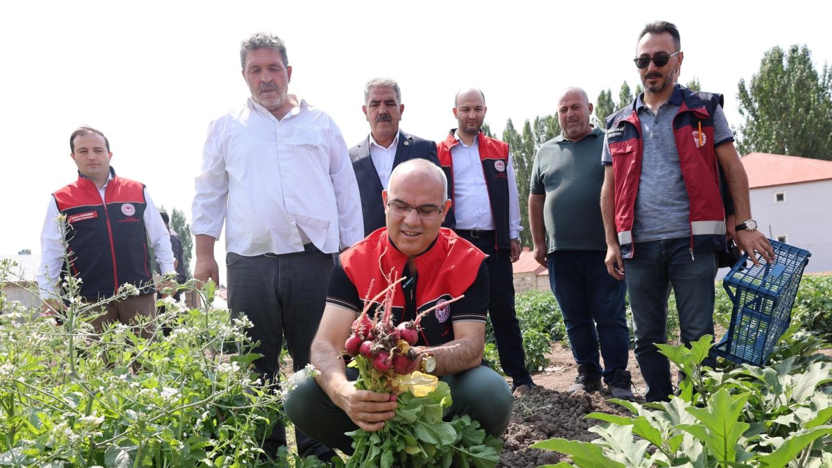 Ağrı'da hibeli sebze üretimi meyvesini verdi, hedef 14 bin ton verim